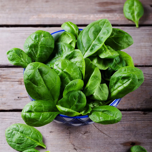 Spinach 101