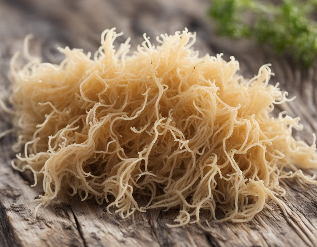 Close-up image of sea moss