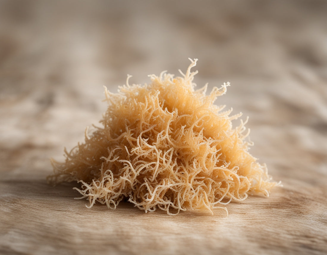 raw sea moss